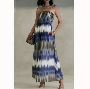 Banana Republic Blue and White Maxi Dress